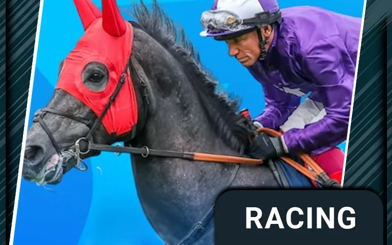 Place horse racing bets at Stake now.