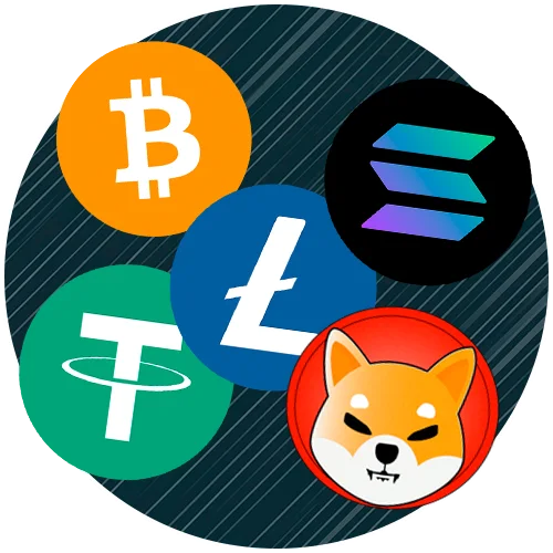 Make cryptocurrency payments at Stake sportsbook today.