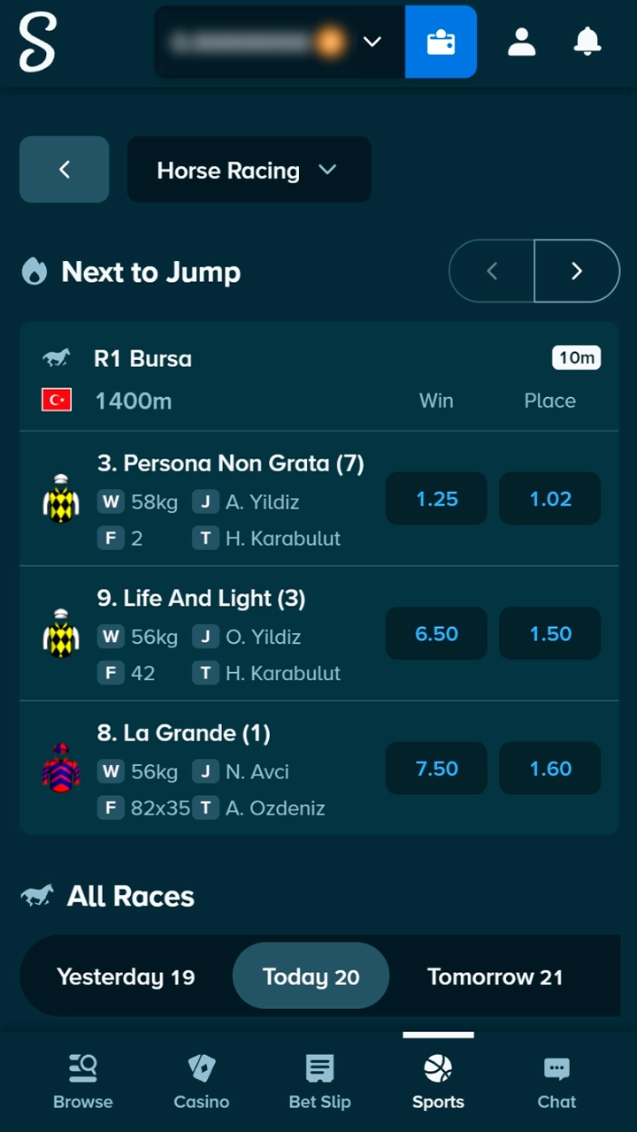 Selecting the best horse racing tournaments on Stake.